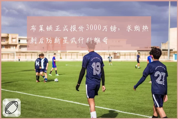 布莱顿正式报价3000万镑，求购热刺后防新星武什科维奇